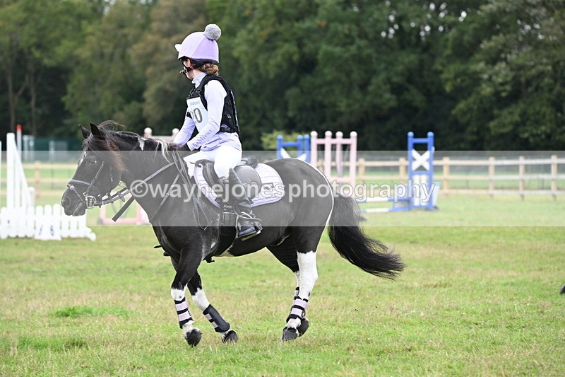 WJ6_0346 - 40cm Time 10:00 to 10:28