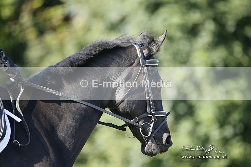 BVRC 120921 183 - Bourne Valley Riding Club UA Dressage & Show Jumping 12/09/21