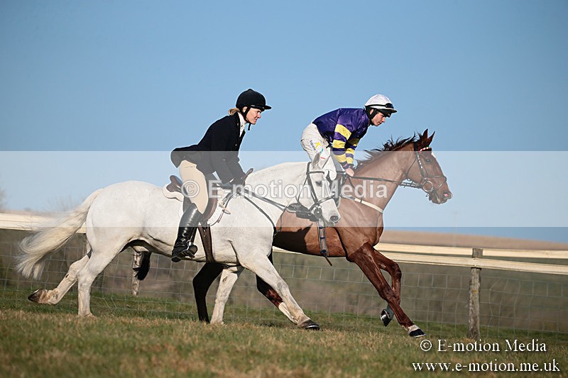 PtP 230219 474 - Vine & Craven Point-To-Point - Barbury 23/02/19