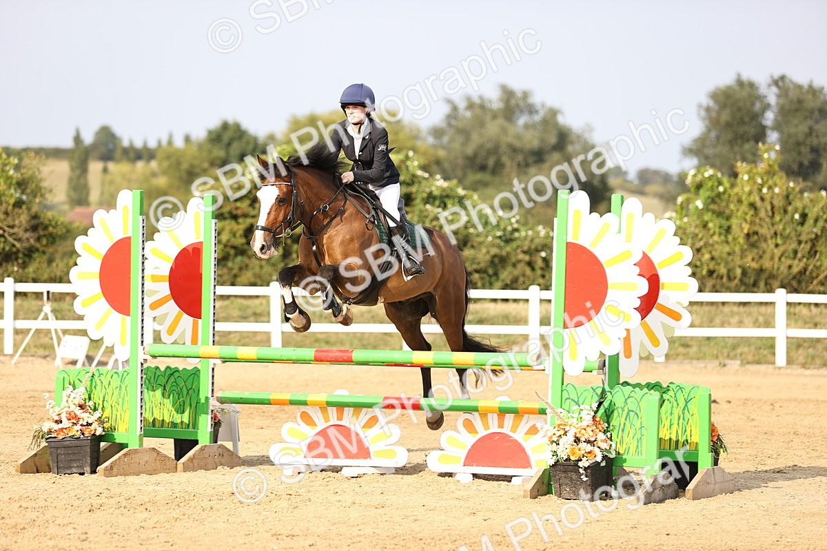 SBM_03910