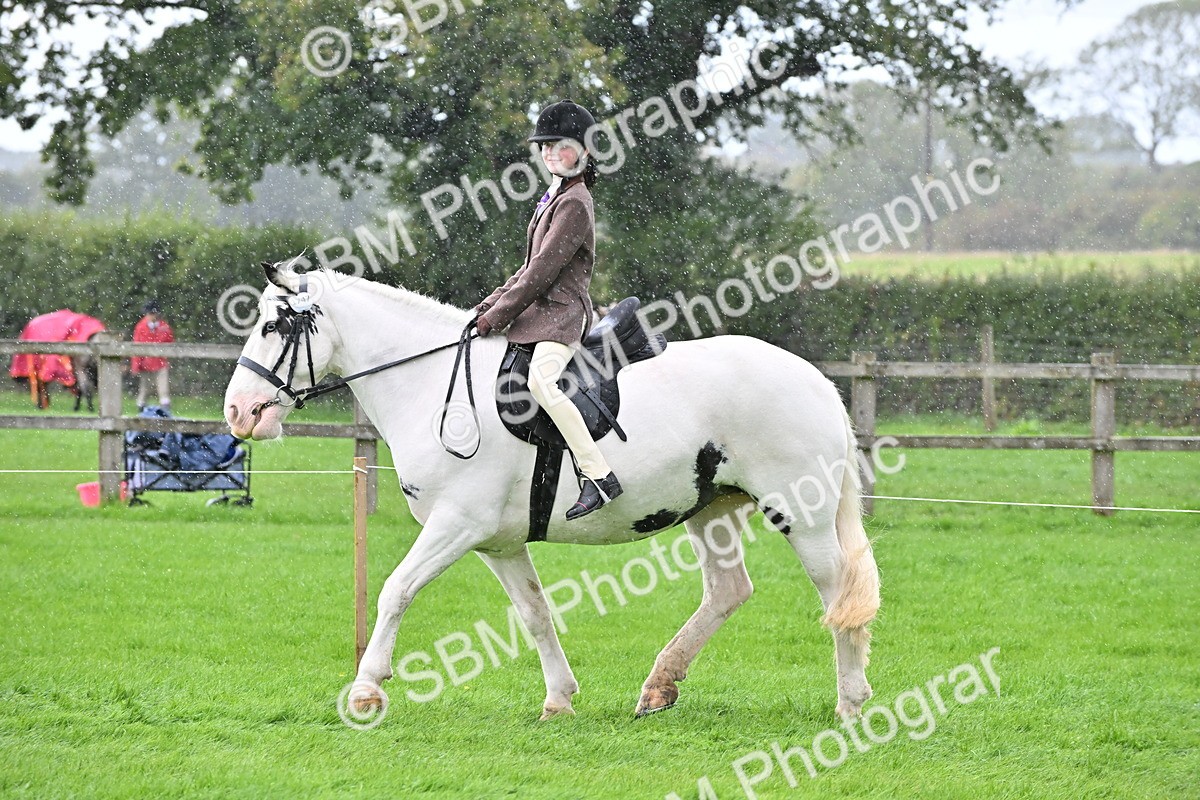 SBM_43027 - S12 - Family Horse & Pony