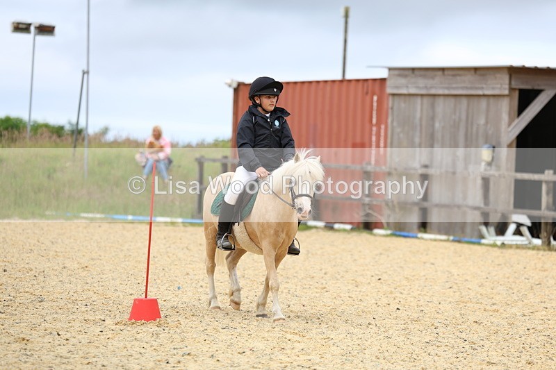 3E7A9404 - Walk trot run