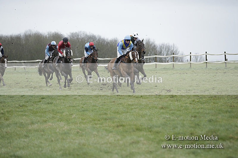PtP 150320 0289 - New Forest Point-to-Point Larkhill 15/03/20