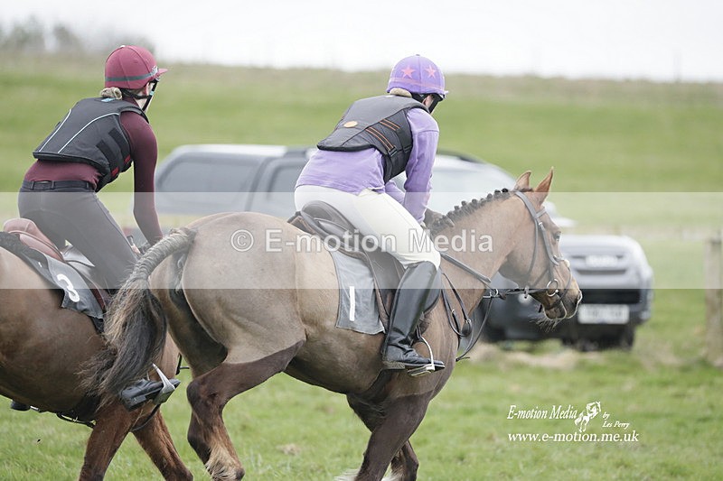 PtP 260323 0097 - New Forest Hounds Point-to-Point Larkhill 26/03/23