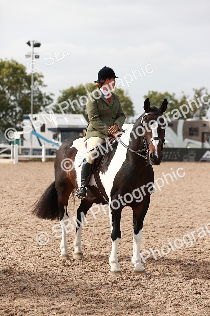 SBM_16811 - Class 214 Ridden Cob