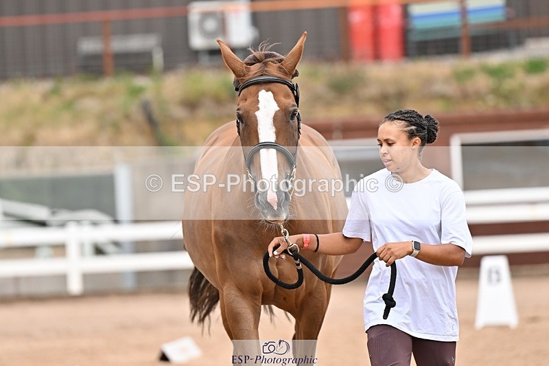 250716-162541-02630 - Trot Up 3.30 to 4.30