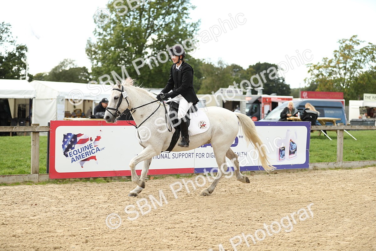 SBM_10856 - J31 - Senior Horse & Pony 75cm Championship