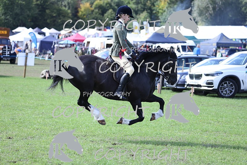 APP_3736 - Class 12 M&M ridden