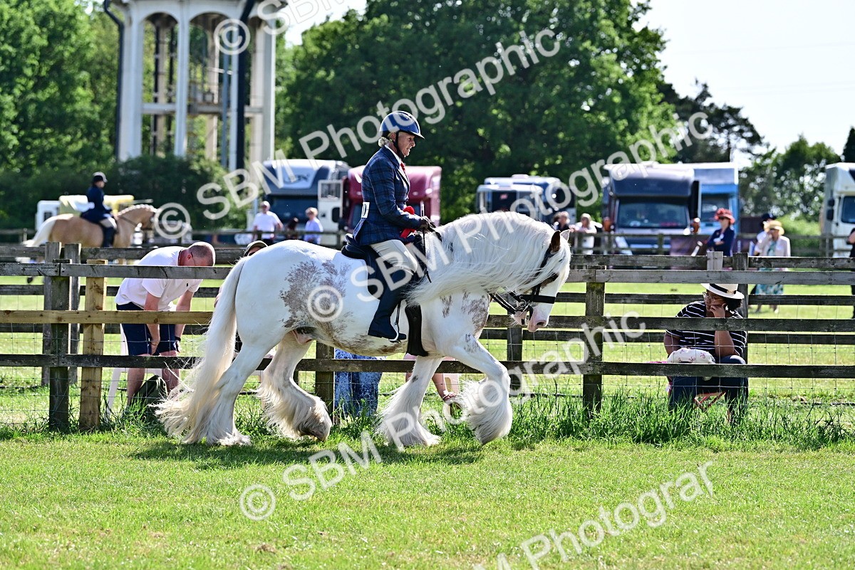 SBM_09451 - Class 63-65 - Traditional Gypsy Cobs In Hand & Ridden