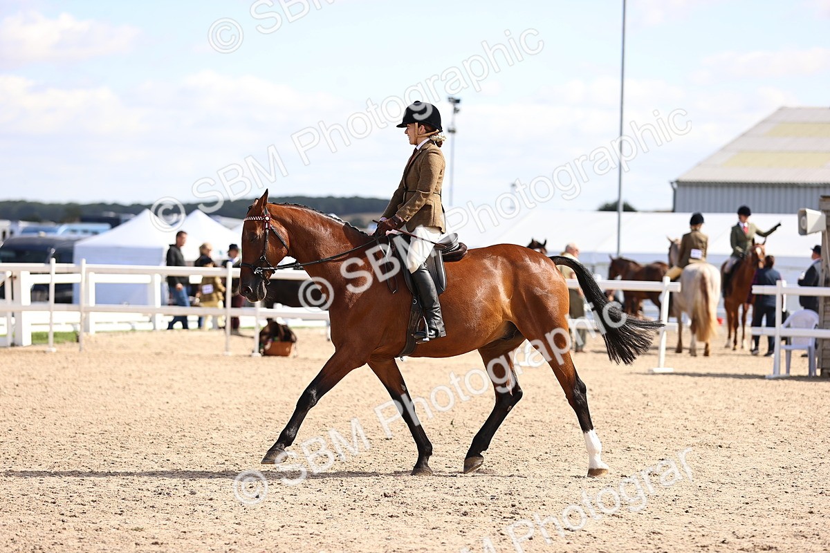 SBM_12974 - Class 410 - Grassroots Ridden - Horse