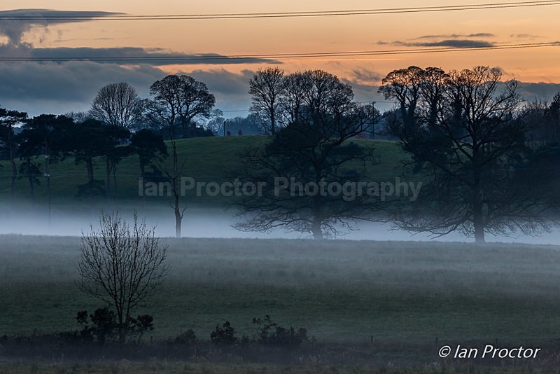 Low lying mist at sunset - Nature