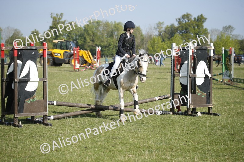 20250427-0278 - Class 12 - Rookie Jumping 40cm