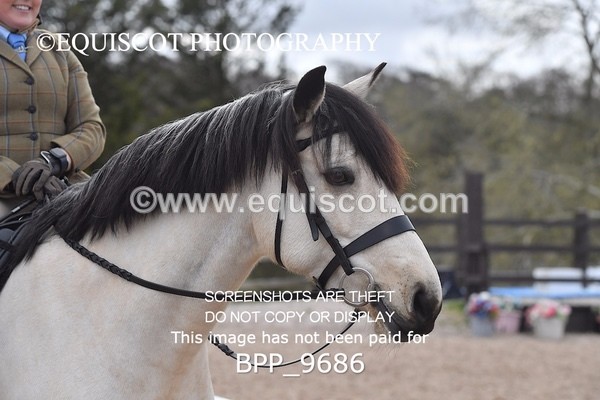 BPP_9686 - 50CM