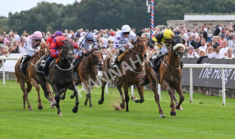 190826-002 Air Force One - Race 1 13.50pm Hong Kong Jockey Club World Pool Handicap