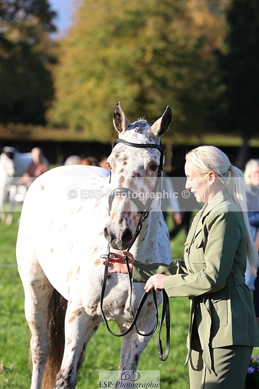 251026A-094032-22414 - D-323-Hannah.Flowerday