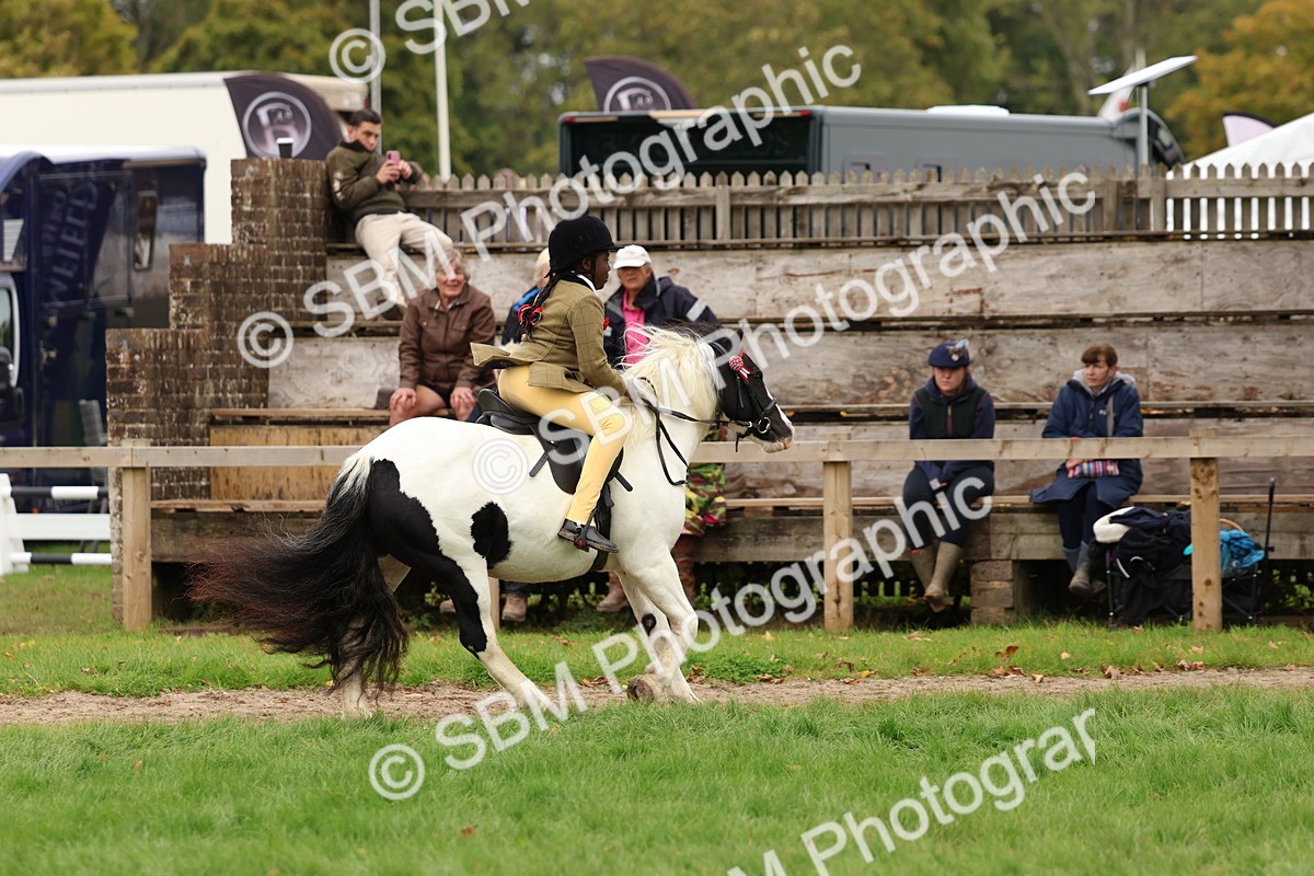 SBM_64579 - S58 - Coloured Pony Ridden