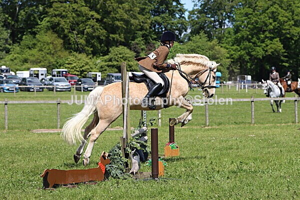 IMG_3676 - Working Hunter