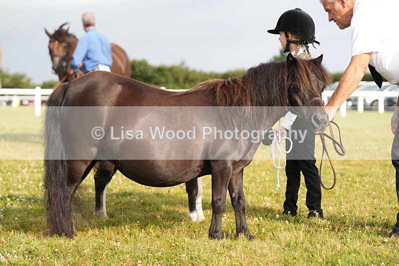 DSC04438 - Classes 44 & 45: NPS M&M Brood Mare and Foal