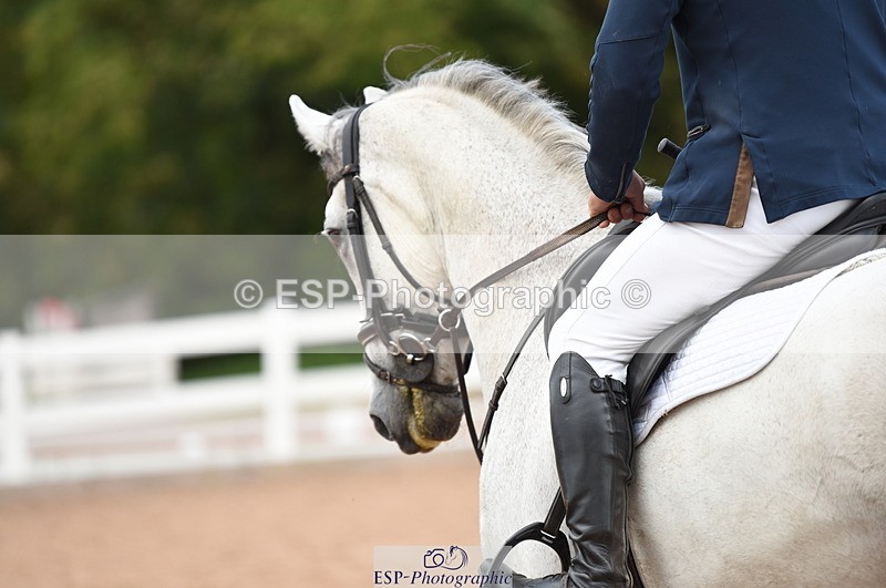 230830A-135652-00987 - Cls 4 Newcomers & Open