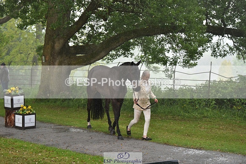 240522-151622-00216 - 366-GYPSIE_DU_LOIR-Yasmin_Ingham