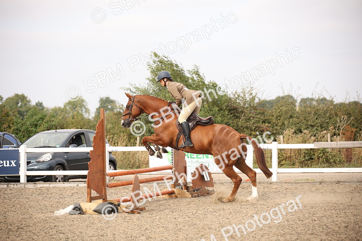 SBM_17076 - Class 409b - Working Veteran 80cm (20+)