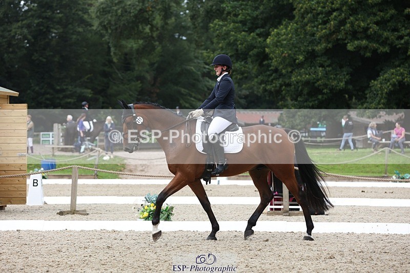 230812-115046-03877 - Cls 5 Novice Bronze 11.15 to 12.50 break