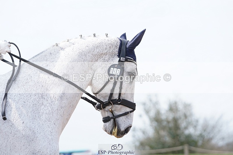 250403-130142-02017 - 052-Elizabeth.Allen-Freestyle.R