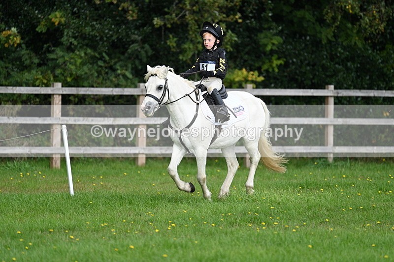 WJ7_3854 - 40cm Time 10:26 to 10:42