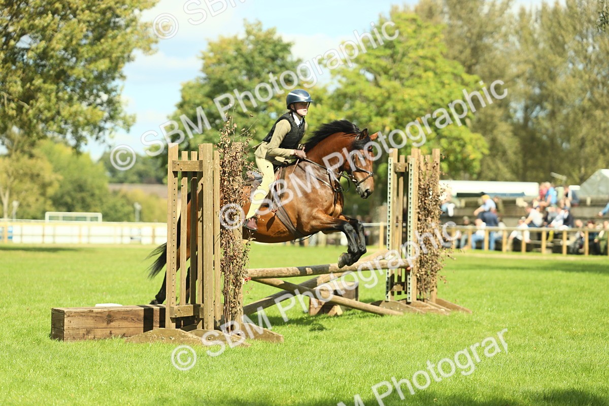 SBM_42983 - S30 - M&M Working hunter Pony