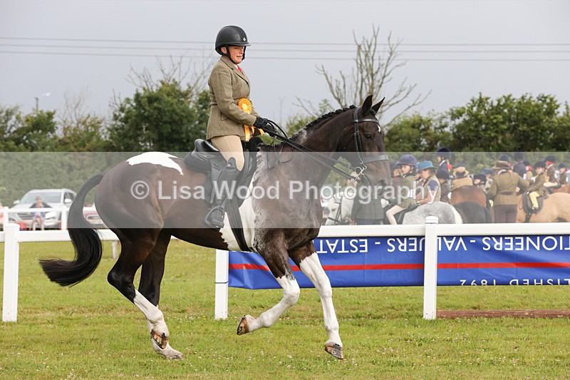 1X9A2968 - Class 25: Ridden Plaited Coloured Horse