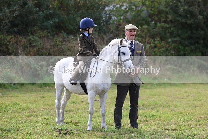 3E7A3754 - Class 2: Lead rein