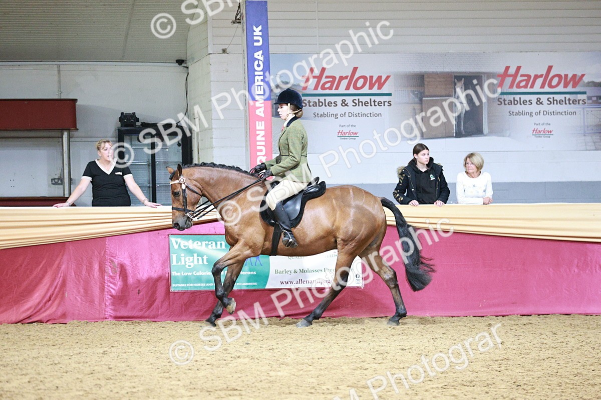SBM_03560 - Class 6A Area Ridden Pre-Vet