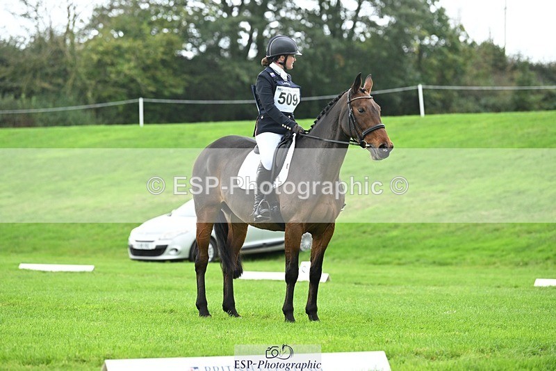 241024-114629-03318 - 509-Tichy.Sanders-SPARHANGER.VELVET