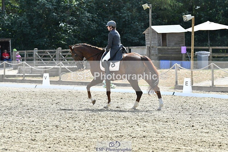260802A-152544-07398 - Intermediate Bronze
