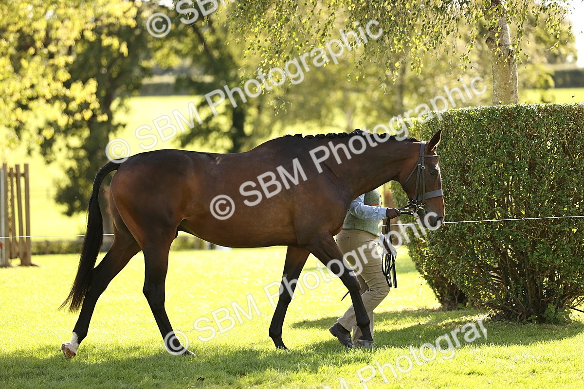 SBM_26126 - S5 - Novice & Newcomers In Hand