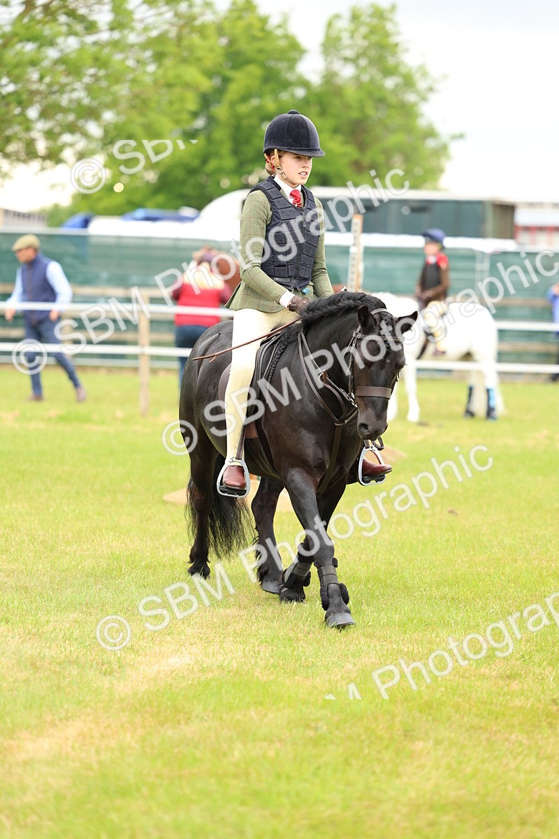 SBM_10320 - Class 44-45 - LIHS BSPS Open Nursery and Cradle Stakes