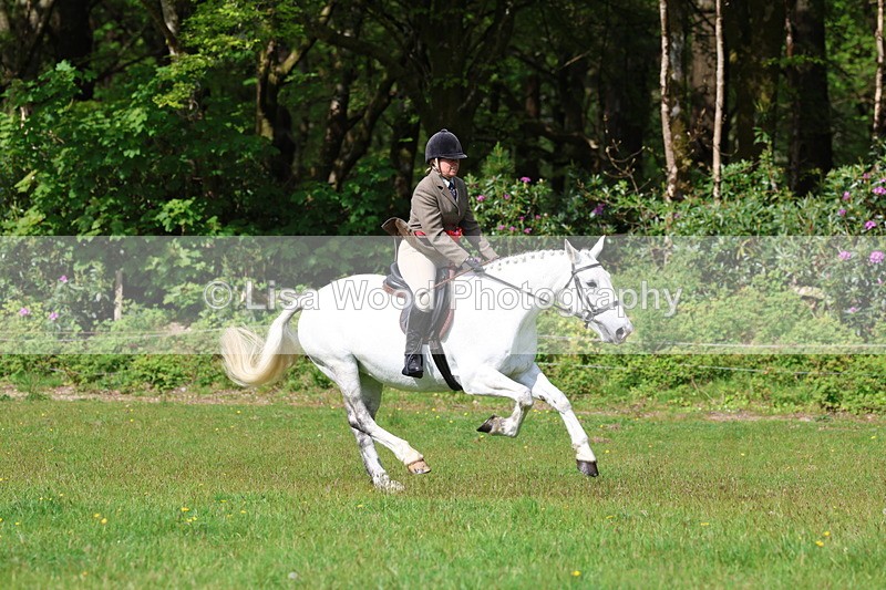 3E7A2671 - Working Hunter Championship