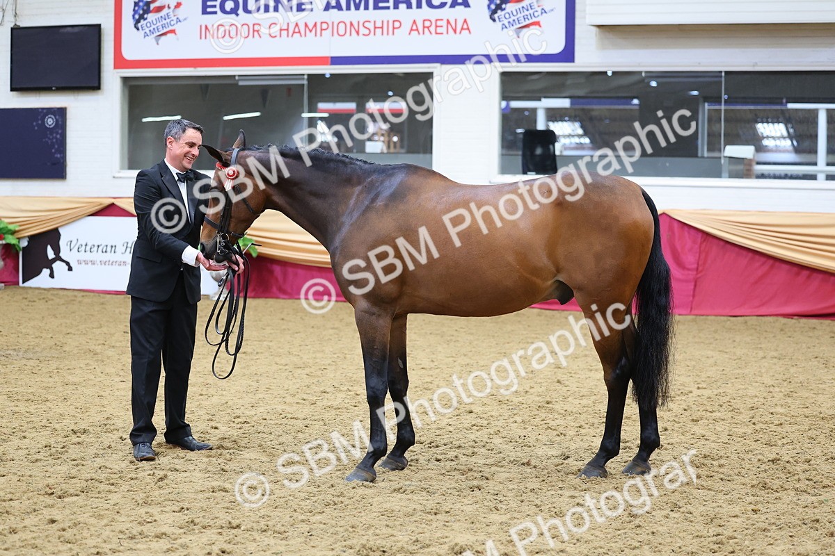 SBM_22714 - Class 903 - Supreme Final - IH Pre Vet