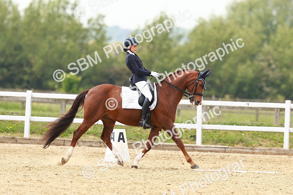 SBM_002737 - Class 12 - Medium 4