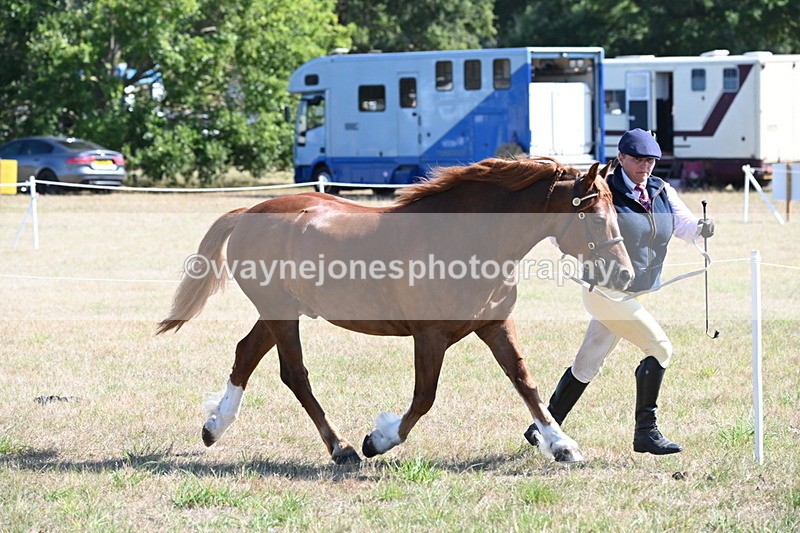 WJ6_4575 - Class 17 Mountain & Moorland