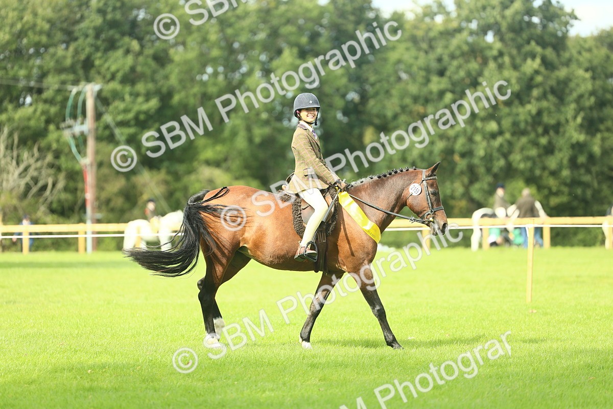 SBM_44873 - Working Hunter Pony Supreme Championship