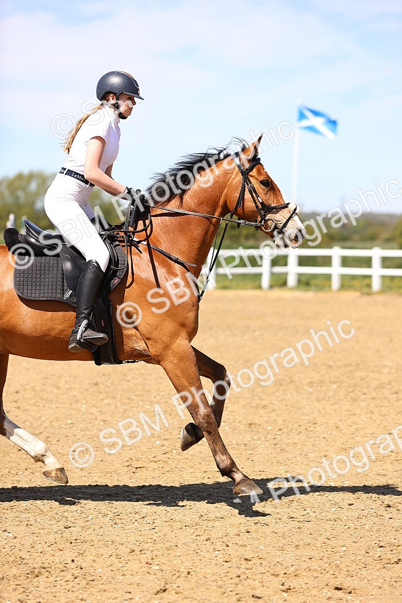 SBM_002166 - 80cm