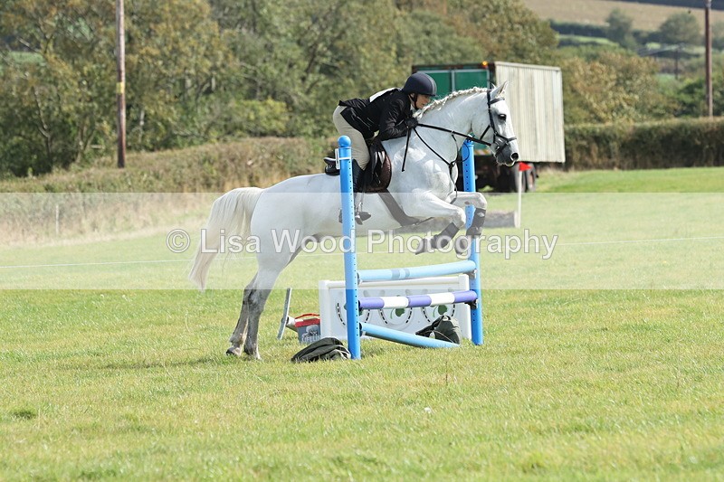 JPP_8582 - Class 2: Trekenning: 80cm Showjumping