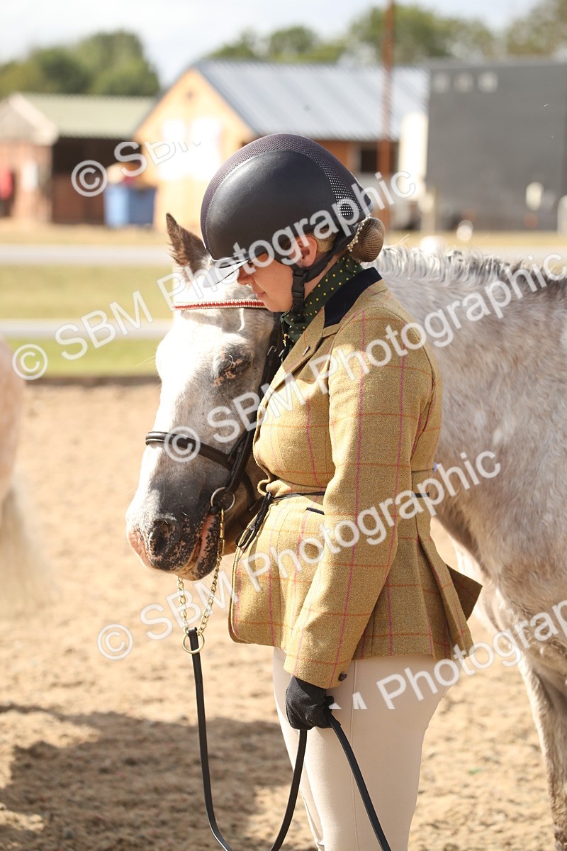 SBM_23452 - Class 604 - 2026 - Area IH Diamond