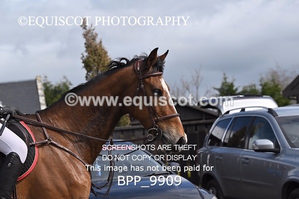 BPP_9909 - CLASS 19 SUN Senior British Novice/ 90cm Open