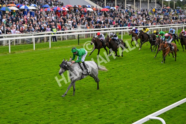 210824-Race 6-Star Of Lady M-5557 - Race 6 4.45pm Visit Irish Yearling Sale With ITM Fillies' Handicap