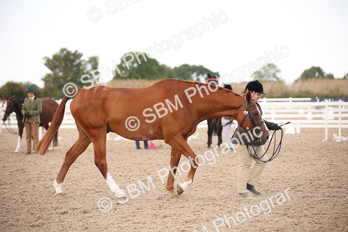 SBM_08226 - Class 27 - IH Competition Horse-Pony