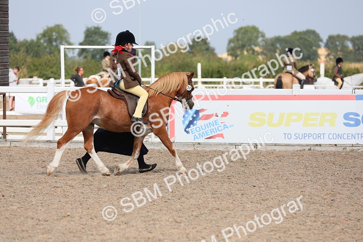 SBM_14074 - Class 309 Lead Rein Pony
