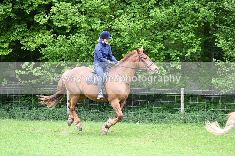 WJ7_2691 - Group 9 A&B Cameras