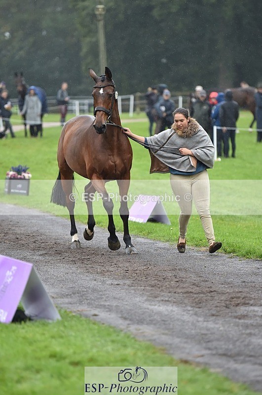 231018-121654-00179 - 025-LYRICAL.II-Harriet.Dickin-TrotUp